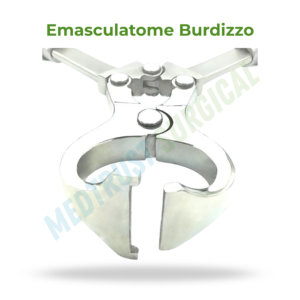 Emasculateur Burdizzo 12 pouces (30,5 cm) – Instrument vétérinaire pour la castration du bétail - Product Image 2