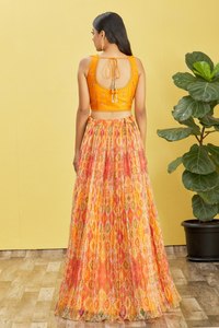 Traditional Embroidered Chiffon <b>Shawl</b> Digital Print Ethnic Women Outfit Resham Mirror Work <b>Wedding</b> Party Dress - Product Image 6