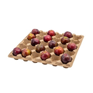 Fruit Packaging Eco-Friendly Anti Break Compostable Molded <b>Pulp</b> Tray Fresh Fruit Tray From Vietnam Manufacturer Paper Boxes - Product Image 1