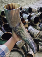 100% cornes de buffle sûres de nourriture finie naturelle de qualité supérieure aux prix de gros en quantité en vrac par M. R. S. EXPORTATIONS