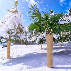 Enveloppes de protection pour arbres en jute naturelle 100 % écologiques, 5 pouces x 16 pieds, rouleaux de jute pour protéger les troncs des arbres de jardinage - Product Image 5