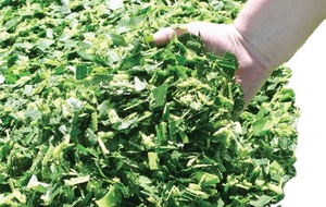 Nhà Cung Cấp Khô Thức Ăn Động Vật Lớn Vòng Bales Ngô Thức Ăn Ủ Chua Chó Lợn Gia Súc Cừu Ngựa Lạc Đà Không tốn kém Lúa Mì Hay Túi - Product Image 6