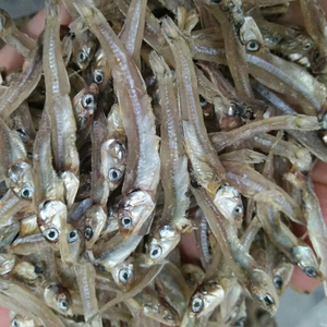 Wholesale Dried Anchovy Dried Anchovy Fish Supplier Dried Anchovy Fish with Head Akina - Product Image 1