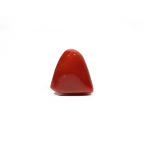 Natural Red Coral Oval Cabochon 18.15 Carat Loose Gemstone for Fine Jewelry - Product Image 2