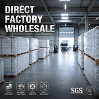 Piso Sintético de UHMWPE de Grado Comercial WLT para Pistas de Hielo, Hockey y Patinaje sobre Ruedas para Arenas, Precio de Fábrica al por Mayor