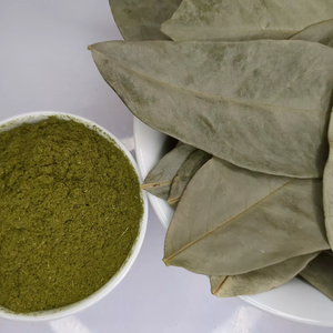 Dried Graviola Leaf Natural Organic Bulk Grade a Vacuum Packaged 100% Black <b>Tea</b> Non Sugar <b>Tea</b> Bags for Steeping Vietnam - Product Image 1