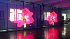 Pantalla LED Transparente <span class=keywords><strong>de</strong></span> Alta Transparencia P2.5 P3.91 P7.82, Pantalla <span class=keywords><strong>de</strong></span> Vidrio para Ventanas para Publicidad - Product Image 4