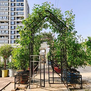 Black Metal Garden <b>Arch</b> with Gate and Planter W80.71*H97.24 Size Climbing Plants Support Outdoor <b>Rose</b> Trellis - Product Image 6