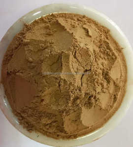 Poudre d'Amla entière séchée naturelle à 100% |   Poudre d'herbe de sureau indien de qualité alimentaire |   Fournisseur en gros - Product Image 4