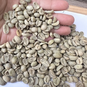 เมล็ดกาแฟอาราบิก้าเวียดนามพรีเมียม SCR16 SCR18 แบบล้างสะอาดทั้งหมด จำหน่ายส่งสำหรับผู้นำเข้า/ผู้ค้าส่งเมล็ดกาแฟสำหรับโรงคั่วกาแฟในแคนาดา/ ANNA - Product Image 5