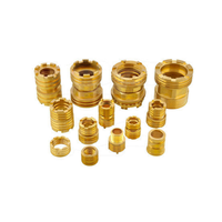 Durable Brass CPVC PPR Inserts with Corrosion Resistant Finish for Pipe Connections