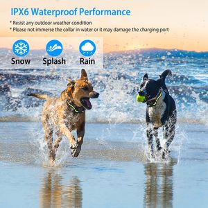 Collare Antiabbaio per Cani Ricaricabile e Impermeabile con Segnale Acustico, Vibrazione e Stimolazione Statica - Product Image 6