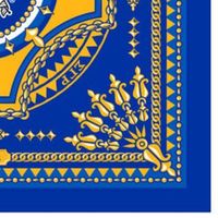 Écharpe SGR Bleu Royal et Jaune – Douce, Tendance, Style Grec Classique – Accessoire Hiver Chaud et Décontracté pour Sororité