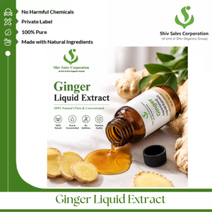 Extrait de gingembre liquide de qualité supérieure pour les acheteurs en gros, idéal pour l'industrie culinaire, la production alimentaire et les applications de développement de saveurs - Product Image 2