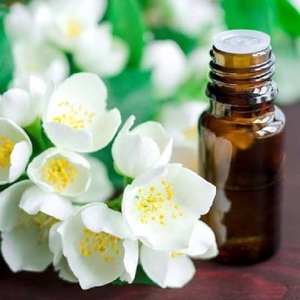 Absolue de Jasmin Sambac (CAS 84776-64-7) – Extrait Floral Naturel pour Parfums, Fragrances, Soins de la Peau, Aromathérapie – Vente en Gros à l'Export - Product Image 6