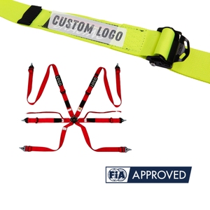 Cinturón de Seguridad de Carreras de Marca Personalizada OEM TBRACING FIA 8853 2016, Servicio de Distribución, Almohadilla Antideslizante, Estructura de Costura de una Sola Pieza - Product Image 3