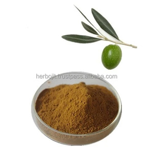 Polvo de extracto de fruta de olivo salvaje Suplemento rico en antioxidantes naturales para la salud del corazón y El apoyo inmunológico - Product Image 5