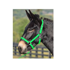 Brida de caballo ajustable de diseño inteligente Durable Impermeable Bio PVC recubierto de nailon Cuero cómodo en colores personalizados azul claro - Product Image 4