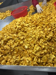 Chips de Jackfruit Frites Sous Vide de Qualité Export, Snack de Fruits Naturels Croustillants, Fournisseur en Gros - Product Image 6