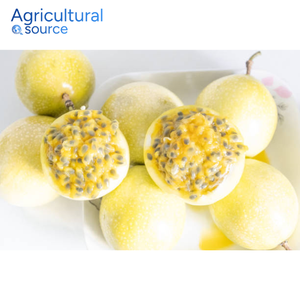 Fruta de la Pasión súper barata, natural y fresca, rica en vitamina C, fruta de la pasión para uso diario, de la fábrica de Vietnam - Product Image 1