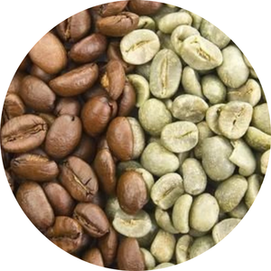 เมล็ดกาแฟอาราบิก้าและโรบัสต้ากำเนิดจากเวียดนามกระบวนการมาตรฐานแห้งบรรจุภัณฑ์จำนวนมากขายส่งจากเวียดนาม - Product Image 1