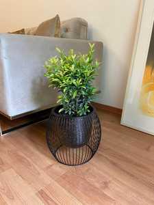 Fancy Black Metal Flower Pot With Circular Wire Design Indoor Plant Planter Modern Style Powder Coated Finish - Product Image 4