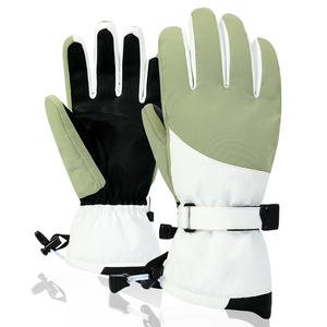 Gants de ski en cuir imperméables et isolés pour hommes et femmes, à doigts séparés, pour snowboard, sports d'hiver, gants de ski pour adultes, OEM - Product Image 2