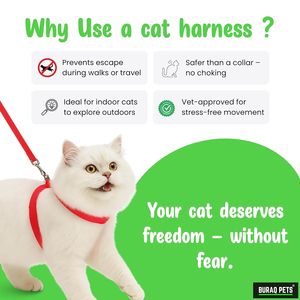 Plain Cat <b>Harness</b> Body Set OEM ODM Custom Logo Adjustable Cat <b>Harness</b> & Leash Set Direct Manufacturer - Product Image 2