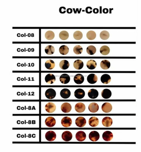 Nueva venta al por mayor de alta calidad botones de hueso de cuerno Natural Botón de cuerno de búfalo Real estilo plano para trajes abrigos camisas Jeans por FWE - Product Image 4