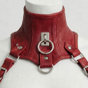 Corset gothique en cuir pour femme avec dentelle, collection de corsets sexy et écologiques - Product Image 4