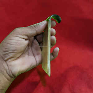 Cuchara para zapatos de cuerno de buey de diseño moderno con cordón de cuero, hecha a mano con cuerno natural, al mejor precio. - Product Image 5