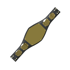 บริการ OEM ขายส่งเข็มขัดมวยปล้ำ เข็มขัดแชมป์มวยปล้ำระดับมืออาชีพ สำหรับขายออนไลน์ - Product Image 3