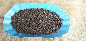 Pimienta Negra Entera Seca Cruda 500 G/L, Grado Limpio para Exportación a Granel, Origen Vietnam, Granjas de Dak Lak y Gia Lai - Product Image 5