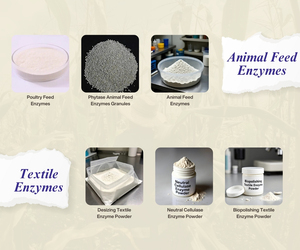 ผงเอนไซม์แลคตาส ผลิตในอินเดีย - Product Image 4