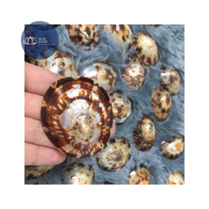 Protège-mamelons ovales écologiques en coquille de limette de haute qualité pour l'allaitement, soulagement naturel des douleurs mammaires, soins pour la mère, vente en gros - Product Image 4
