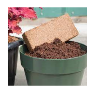 อิฐมะพร้าวคุณภาพสูงในราคาไม่แพง - ทางเลือกที่ดีที่สุดสําหรับคุณ - Product Image 5