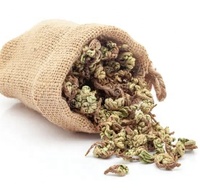 Hierbas Verdes Damiana RASTA Gold Blends Temptation, Hierbas para Liar de Hojas Ricas, 100% Naturales, Hojas Trituradas, Suministro a Granel de Fábrica
