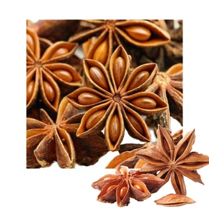Anís Estrellado Delicioso de Vietnam, Suministro a Granel, Precio Inmejorable, Estándar Internacional de Fábrica - Product Image 1
