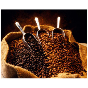 Arabica Coffee <b>Beans</b> / robusta coffee <b>beans</b>/ roasted coffee <b>bean</b> - Product Image 3