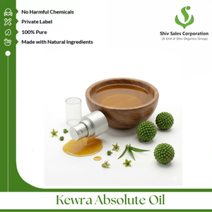 Aceite Absoluto de Kewra para Creación de Aromas, Productos Aromáticos, Formulaciones de Perfumes y Mezclas de Fragancias Industriales - Product Image 2