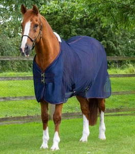Horse Cooler Rug Customized Equestrian Summer Sheet Breathable Horse <b>Blanket</b> for Training Transport and Stable Use - Product Image 2