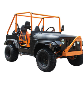 Vehículo Utilitario Eléctrico UTV 4X4 de 3000W, Alta Calidad, Multifuncional, con Transmisión Automática, Certificado EEC, en Oferta, 2025 - Product Image 4
