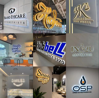 Enseigne de logo d'entreprise personnalisée en 3D rétroéclairée par LED pour la publicité et la décoration, utilisée par les entreprises automobiles, en acrylique, en acier inoxydable, étanche IP65