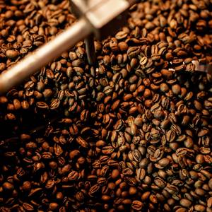 เมล็ดกาแฟโรบัสต้าเวียดนาม S18 คั่วบด บรรจุภัณฑ์ระดับมืออาชีพสำหรับธุรกิจนำเข้ากาแฟ - Product Image 2