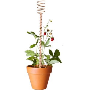 Varillas de Cobre Natural de Alta Calidad para Cultivo Electrolítico, Potenciador de Energía del Suelo para Plantas, Herramientas Orgánicas para Jardinería y Agricultura - Product Image 1