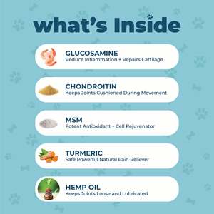 Huile de graines de chanvre pour soutenir l'immunité et la santé des articulations des chiens, complément alimentaire à absorption rapide et formule sûre, sous forme de friandises molles pour animaux de compagnie - Product Image 4
