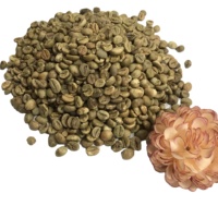 Les meilleurs grains de café vert robustes avec des certificats complets et le meilleur prix du fournisseur vietnamien fiable + 84 363 565 928