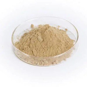 Poudre d'extrait de café en vrac de qualité supérieure, stock prêt à l'emploi, exportateur fabricant - Product Image 3
