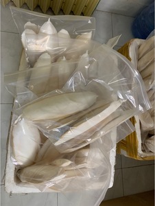 Séchés en vrac, corps de seiche 20 cm, faible teneur en sel - Product Image 2