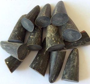 Punta de cuerno de búfalo negra - Product Image 2